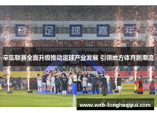 辛集联赛全面升级推动足球产业发展 引领地方体育新潮流