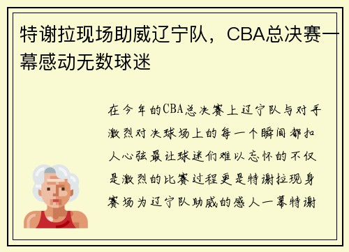 特谢拉现场助威辽宁队，CBA总决赛一幕感动无数球迷