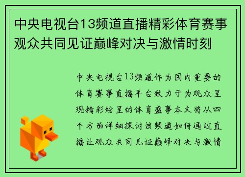 中央电视台13频道直播精彩体育赛事观众共同见证巅峰对决与激情时刻